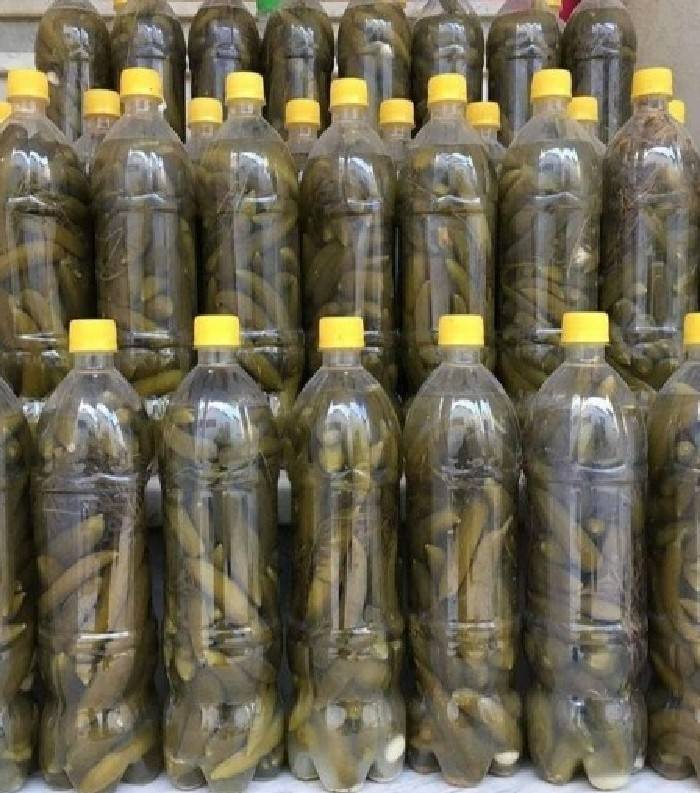 خیارشور سرکه نمکی بطری