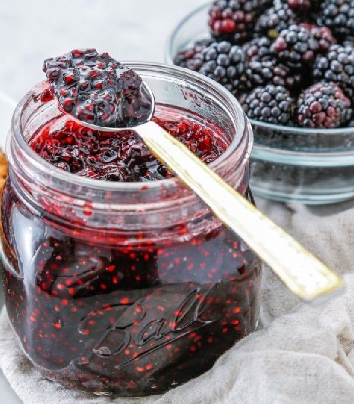 مربا تمشک یک کیلویی