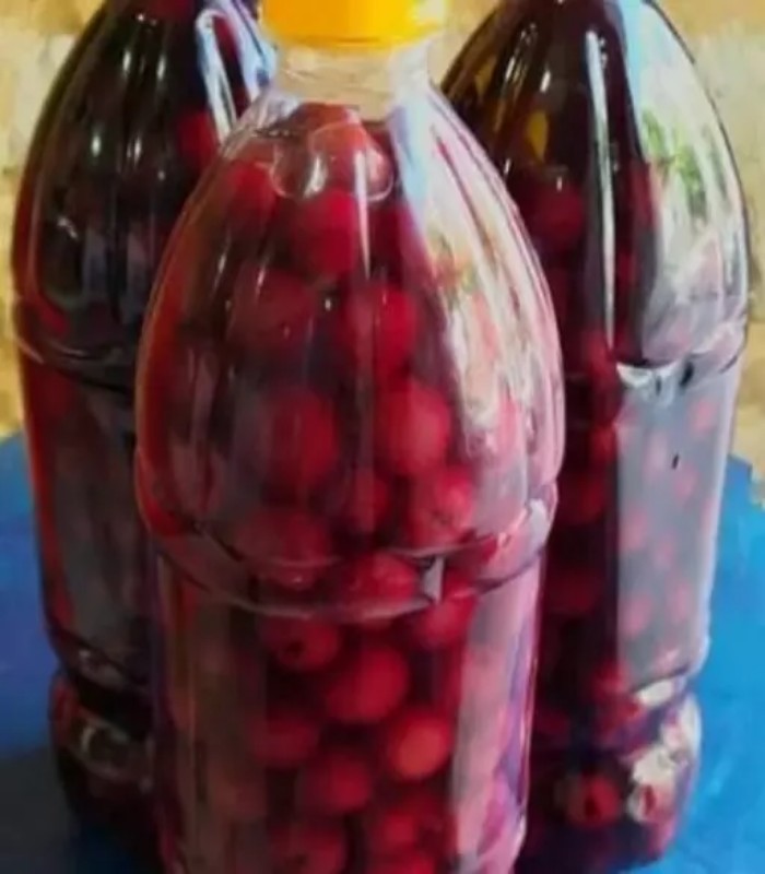 ترشی آلبالو بطری